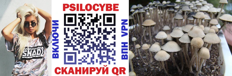 Галлюциногенные грибы Psilocybe  как найти закладки  Гусев 