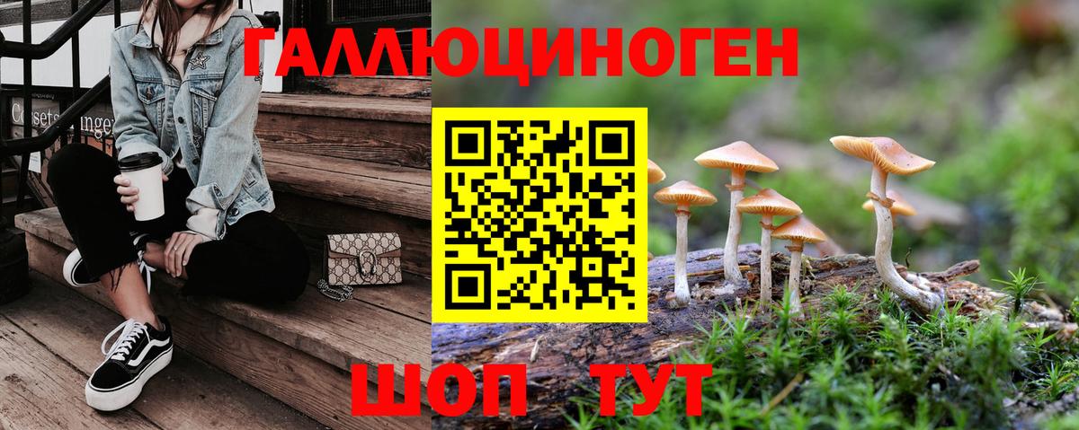 Гусев  Псилоцибиновые грибы MAGIC MUSHROOMS  Псилоцибиновые грибы мицелий  наркота  Вход с VPN 