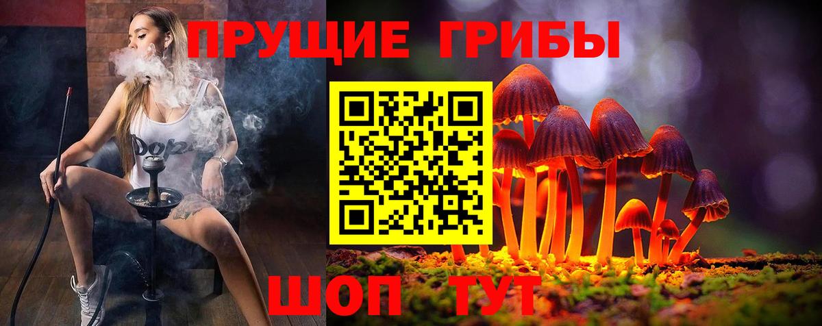 Галлюциногенные грибы MAGIC MUSHROOMS Гусев