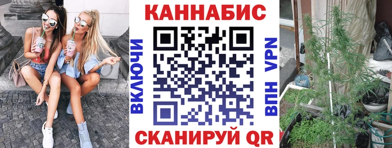 купить   Гусев  Марихуана конопля 