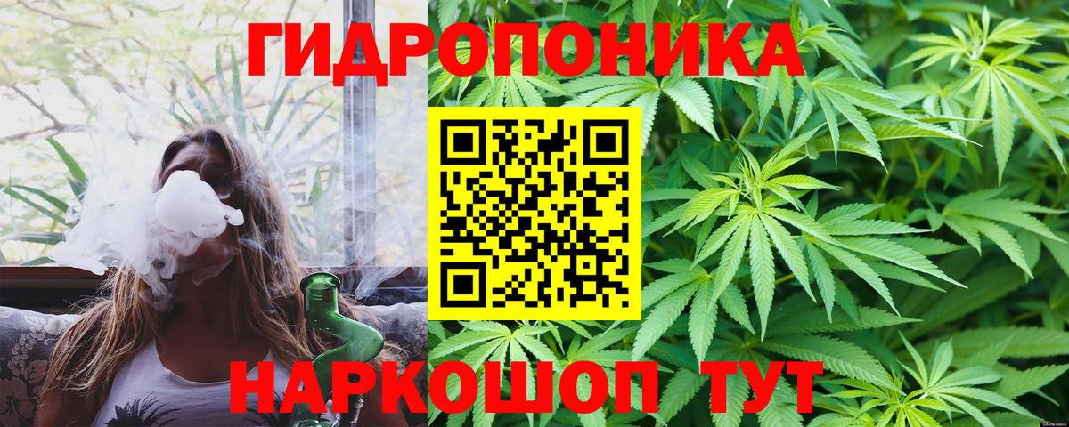 Шишки марихуана AK-47  МАРИХУАНА ГИДРОПОН  Вход с VPN  Шишки марихуана семена  Гусев  Канабис гибрид 